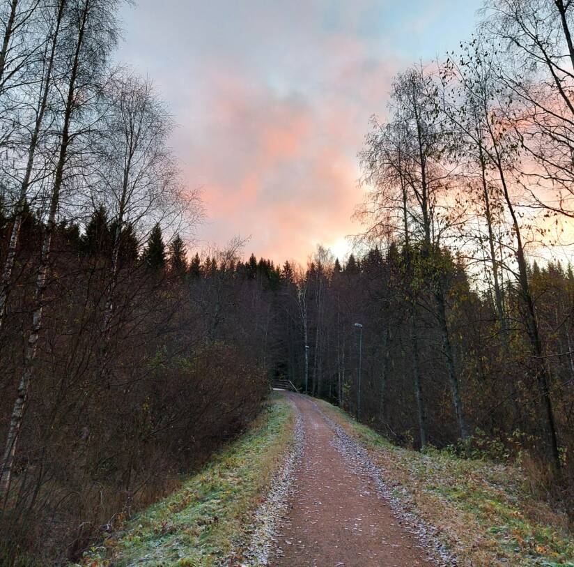 Kuvituskuva Juupajoen rotkosta.